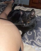 Анкета проститутки Николь - метро Останкинский, возраст - 23